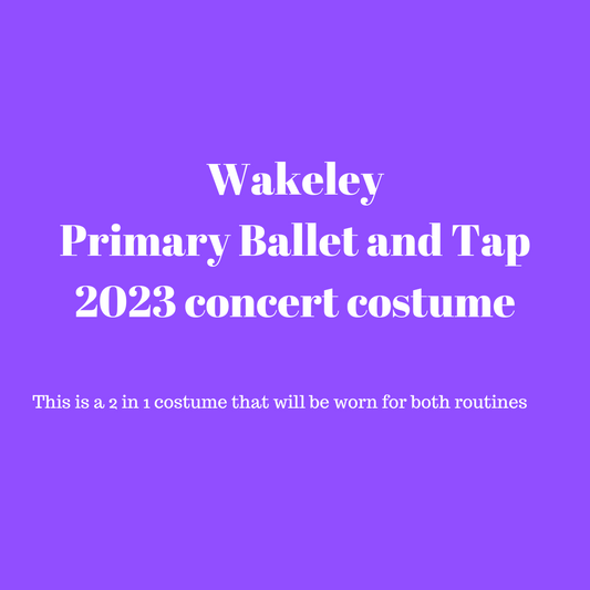 Wakeley Primary Tap and Ballet concert costume 2023